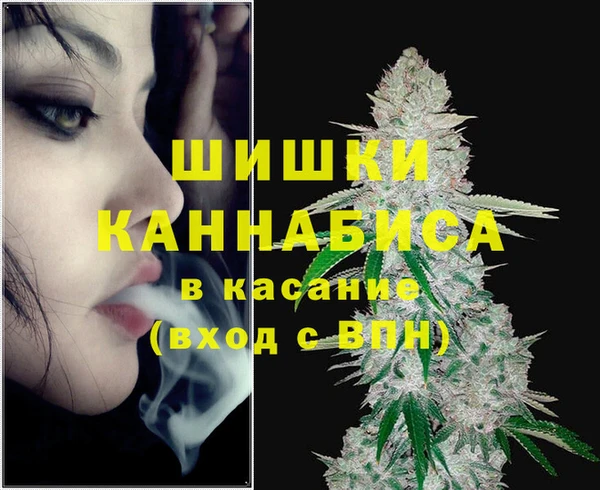 кокс Белокуриха