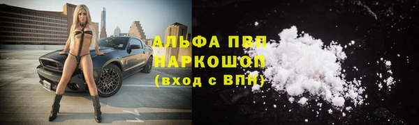 кокс Белокуриха