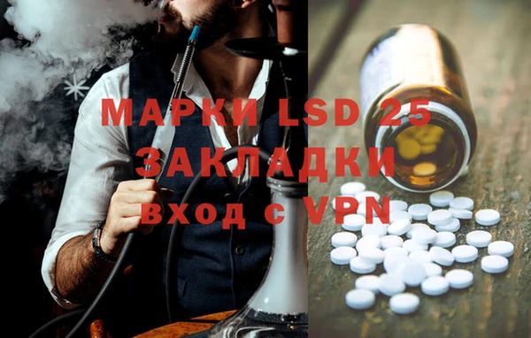 PSILOCYBIN Беломорск