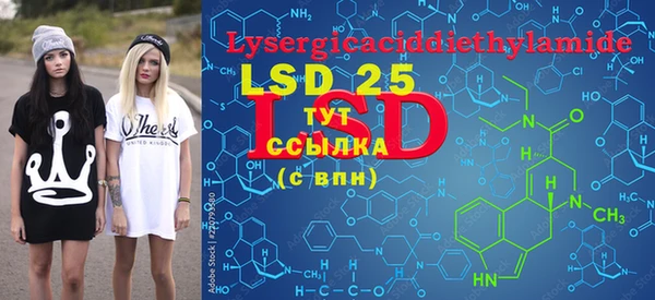 PSILOCYBIN Беломорск
