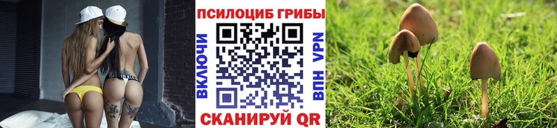 Галлюциногенные грибы ЛСД  Бийск 